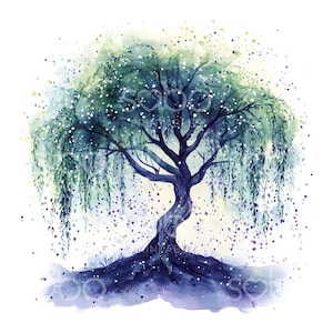 18 magische Trauerweide Baum Clipart, Weidenbaum Kunst, druckbare Aquarell Clipart, hochwertige JPGs, digitaler Download, Papierhandwerk S547