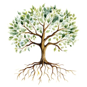 25 Tree of Life with Roots Clipart, Oak Family Tree, Printable Watercolor Clipart, High Quality JPGs, Digital Download, Paper Craft S447 image 8