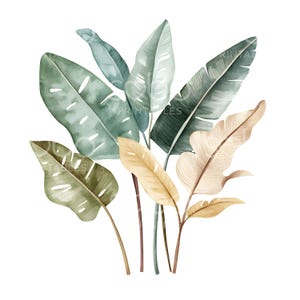 May include: Watercolor illustration of tropical leaves in shades of green, tan, and brown. The leaves vary in size and shape, with visible veins and textures. The image has a clean, white background, and the text "PRINTABLES" is visible.