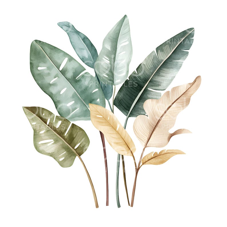 May include: Watercolor illustration of tropical leaves in shades of green, tan, and brown. The leaves vary in size and shape, with visible veins and textures. The image has a clean, white background, and the text "PRINTABLES" is visible.