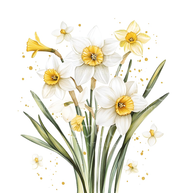 May include: A bouquet of white daffodils with yellow centers and green leaves. The flowers are arranged in a vase and are surrounded by small, gold-colored dots.