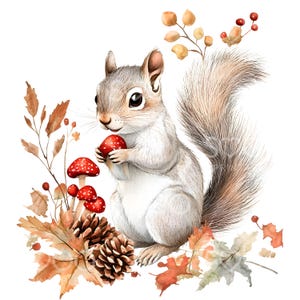 Clipart écureuil automne, champignons bouquet, pommes de pin, fichiers JPG de haute qualité, scrapbooking, journal indésirable, agenda numérique, usage commercial S219