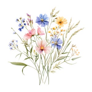 30 cliparts bouquet de fleurs sauvages, jolies fleurs sauvages, fichiers JPG de haute qualité, aquarelle imprimable, téléchargement numérique, créations en papier, journal indésirable S513