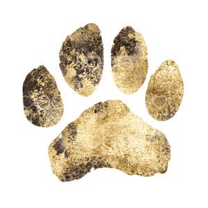 May include: A gold paw print with a textured, watercolour-like finish.