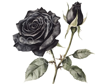 26 Black Roses Clipart, Rose Halloween Decor, Printable Watercolor Art, High Quality JPG, Digital Download, Paper Craft, Junk Journal S875