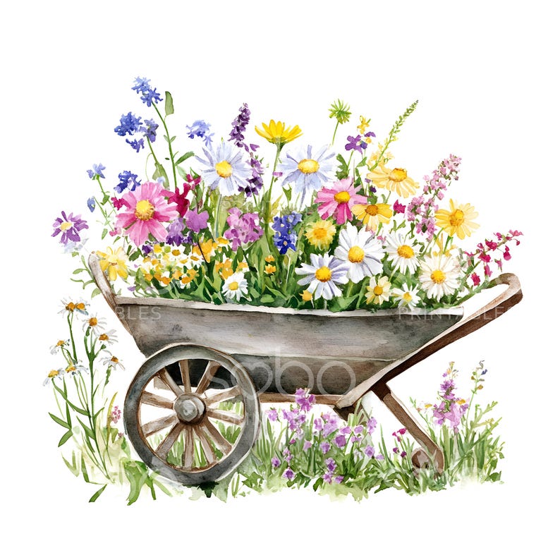 K&ouml;nnte beinhalten: Eine alte Schubkarre, die &uuml;berquillt mit einem bunten Strau&szlig; Wildblumen, darunter G&auml;nsebl&uuml;mchen, rosa Bl&uuml;ten und lila Wildblumen. Die Schubkarre ist in einem verblassten Grau gestrichen und hat ein Holzrad.