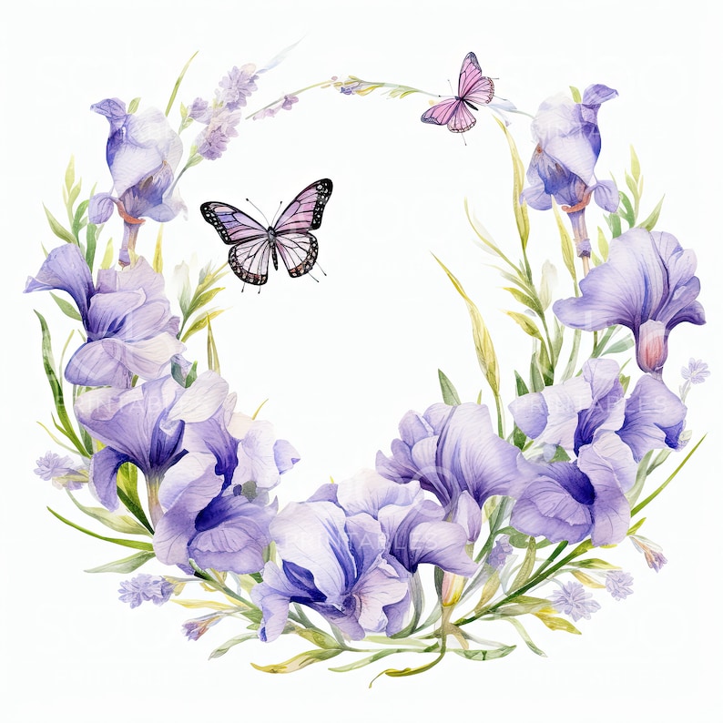 Watercolor Butterfly Wreath Clipart - 11 Jpgs Watercolor Botanical ...