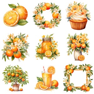Watercolor Orange Clipart - 10 High Quality JPGs, Wall Art, Scrapbook, Junk Journals, Digital Planners, Commercial Use, Digital Download S15