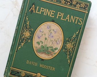 Alpine Plants, David Wooster, 1872 | Antique Book of Flowers