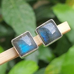 May include: A pair of square-shaped stud earrings with a silver setting. The earrings feature a blue and gray iridescent stone. The earrings are displayed on a wooden stick against a blurred green background.
