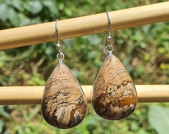 May include: A pair of silver teardrop earrings with brown and white patterned stones.