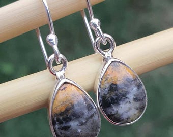 May include: A pair of silver drop earrings with teardrop-shaped stones. The stones have a mix of colors, including yellow, black, and white. The earrings are hanging on a wooden dowel against a blurred green background.
