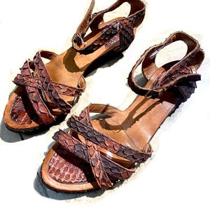 Könnte beinhalten: Ein Paar braune und rotbraune Schlangenledersandalen. Die Sandalen haben mehrere Riemen über dem Fuß und einen Knöchelriemen mit Schnalle. Die Sohlen sind hellbraun.