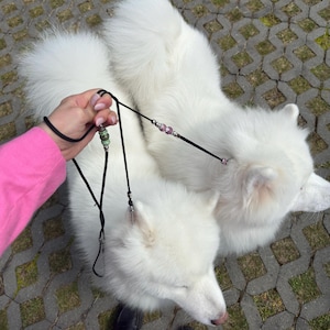 Paracord Showleine für Hunde: Starkes Seil mit glänzenden Perlen Bild 2