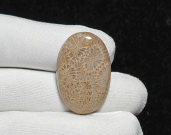 39 Ct Oval Fossil Coral Cabochon Natural Gemstone 34x22x6 mm