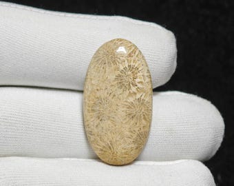 Natural Fossil Coral Cabochon Oval Gemstone 32X18X5 mm 25 Ct