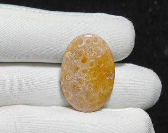 Natural Fossil Coral Cabochon Oval Gemstone 31X21X5 mm 24 Ct