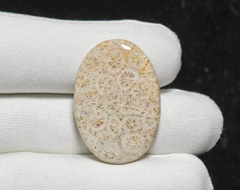 Natural Fossil Coral Cabochon Oval Gemstone 34x24x5 mm 35 Ct