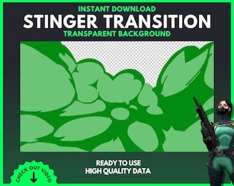 | de transition VALORANT Viper Stinger Transition - Streaming - Minimaliste - Son inclus | Téléchargement numérique