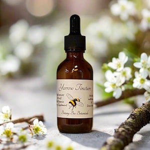Yarrow Tincture, Wild Organic Achillea millefolium Herbal Extract