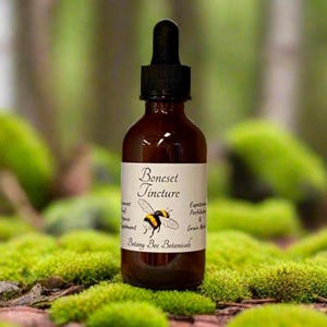 Boneset Tincture, Wild Organic Eupatorium perfoliatum Herbal Extract