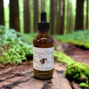 Goutweed Tincture, Wild Organic Aegopodium podagraria Herbal Extract
