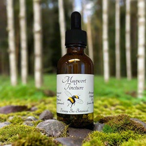 Mugwort Tincture, Wild Organic Artemisia vulgaris Herbal Extract