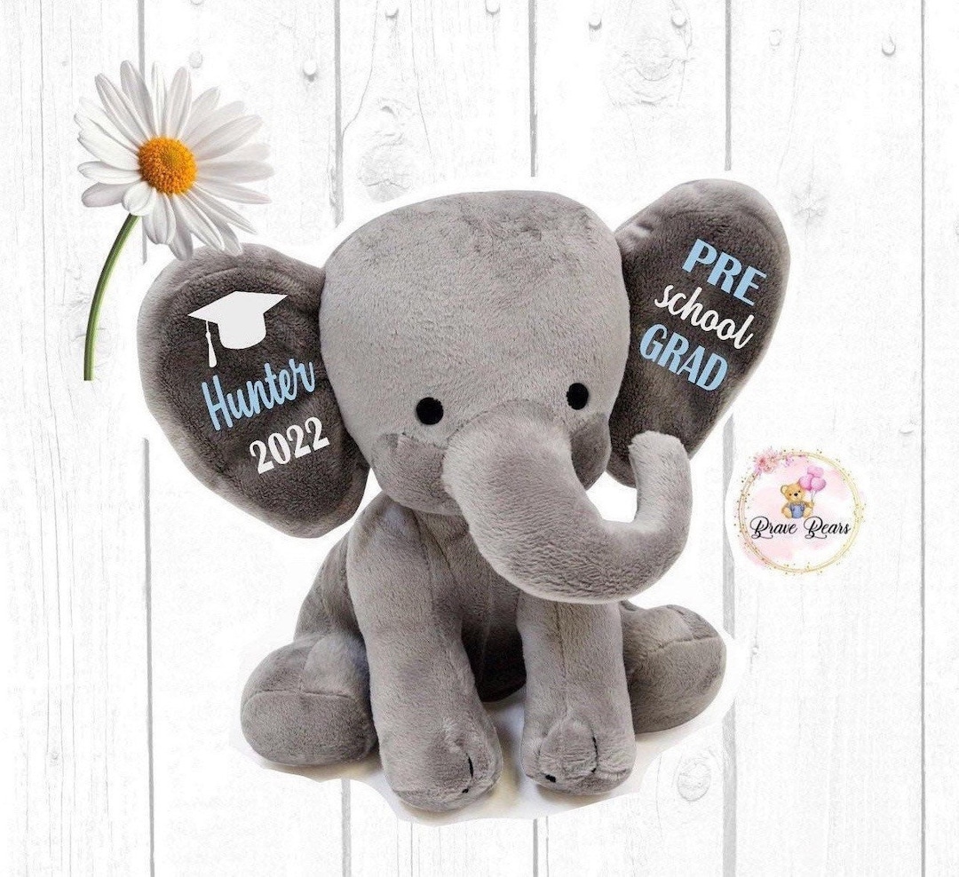 Preschool Graduation Gift. VPK Graduation Gift. Preschool Grad Gift