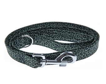 Matching leash with silver hardware