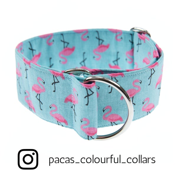 Sighthound Collar "Paradise" | Dog Collar in turquoise with pink flamingos