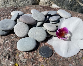 May include: A pile of smooth, gray and white river rocks, some with a hint of purple, arranged on a textured, reddish-brown surface. A white orchid with a pink center is in the foreground, and a silver US quarter is visible.