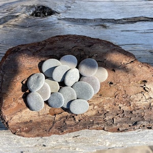 May include: A collection of smooth, gray stones arranged on a piece of weathered driftwood.