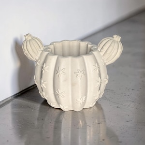 Betonnen cactuspot, saguaro succulentenpot, schattige woestijndecoratiepot, mini boho cementen opbergbakje, pennenhouder, woondecoratie in zuidwestelijke stijl
