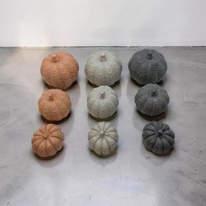 May include: A collection of nine decorative pumpkins arranged in a three-by-three grid. The pumpkins are organised by colour in columns of peach, off-white, and dark grey, with each column featuring three sizes ranging from large to small.