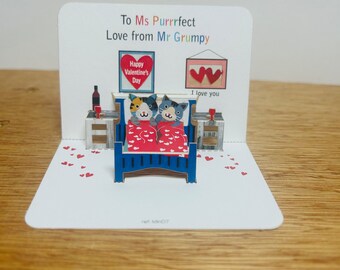 Mini-Katzen im Bett Valentinstagskarte, Mr Grumpy, Mini-Pop-up-Karte, Katzenliebhaberkarte, I love you, Ms Purrrfect, Happy Valentines Day