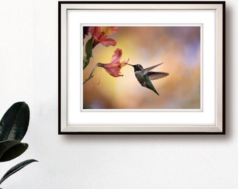 Hummingbird, Bird Photography Print, Nature Art Print, Home and Office Wall Prints, High Quality Fine Art Prints