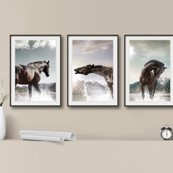 Set of 3 Horse Prints, Photography Wildlife Prints, Wall Art Prints, Black and White Nature Photos, High Quality Fine Art Prints