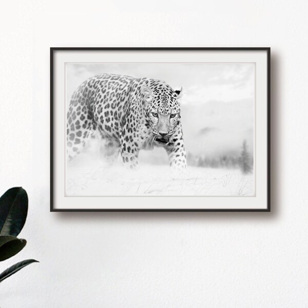 Snow Leopard photography，Black and white photography，Jungle Wildlife Art Print, Leopard Lovers Wall Print, High Quality Fine Art Prints