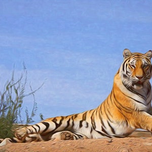 Wunderschönes Prächtiges Majestic Cool Tiger Modell
