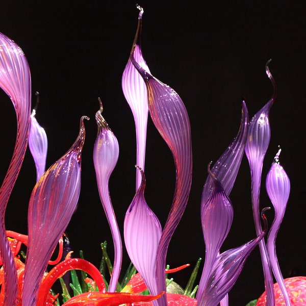 Dale Chihuly Illuminated Layers of Brilliant Purple and Orange Glass in the “Mille Fiori” Flower exhibit