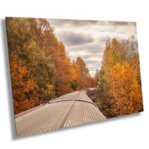 Autumn Train Ride Fall Foliage - Rustic, Fall Wall Art, Scenic Nature, Seasonal, Railway Adventure Wall Art - Print/Canvas/Acrylic/Metal