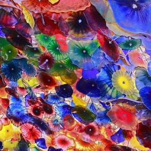 Chihuly Colorful Hand Blown Glass Flowers Ceiling