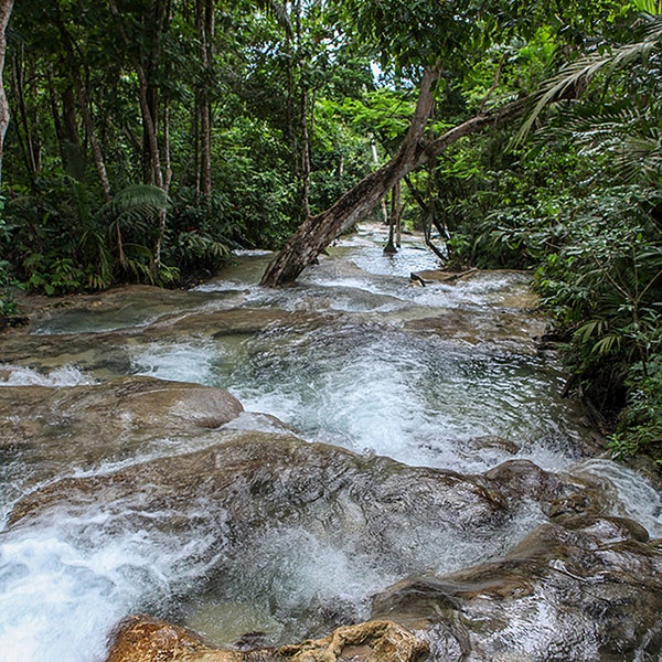 Dunn's Water Fall Smooth Down Flow Beautiful Rock Formation Vertical view ,  Ocho Rios St Ann, Jamaica Caribbean Sea