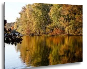 Radnor Lake Canvas Print: Vibrant Nature Scene - Ready to Hang