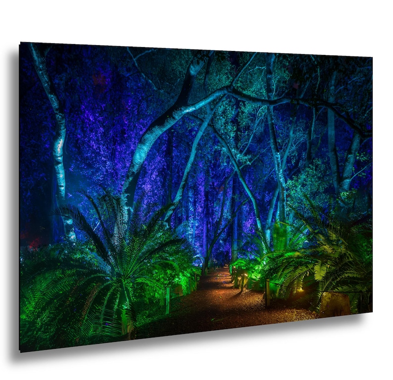 Enchanted Forest Path Photography Print – Magical Glowing Woodland ...