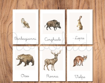 Animali d'Europa - Gioco di apprendimento ad ispirazione Montessori - carte delle nomenclature - italiano - schede da stampare