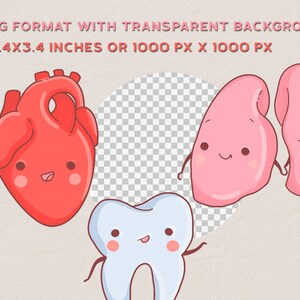 May include: A cartoon illustration of a red heart, two pink lungs, and a white tooth. Each organ has a smiling face and arms. The background is transparent.