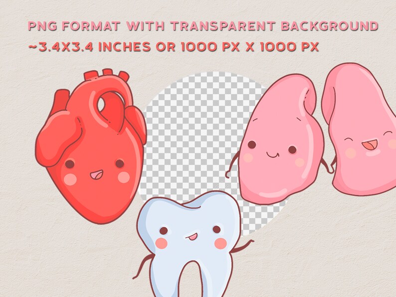 May include: A cartoon illustration of a red heart, two pink lungs, and a white tooth. Each organ has a smiling face and arms. The background is transparent.