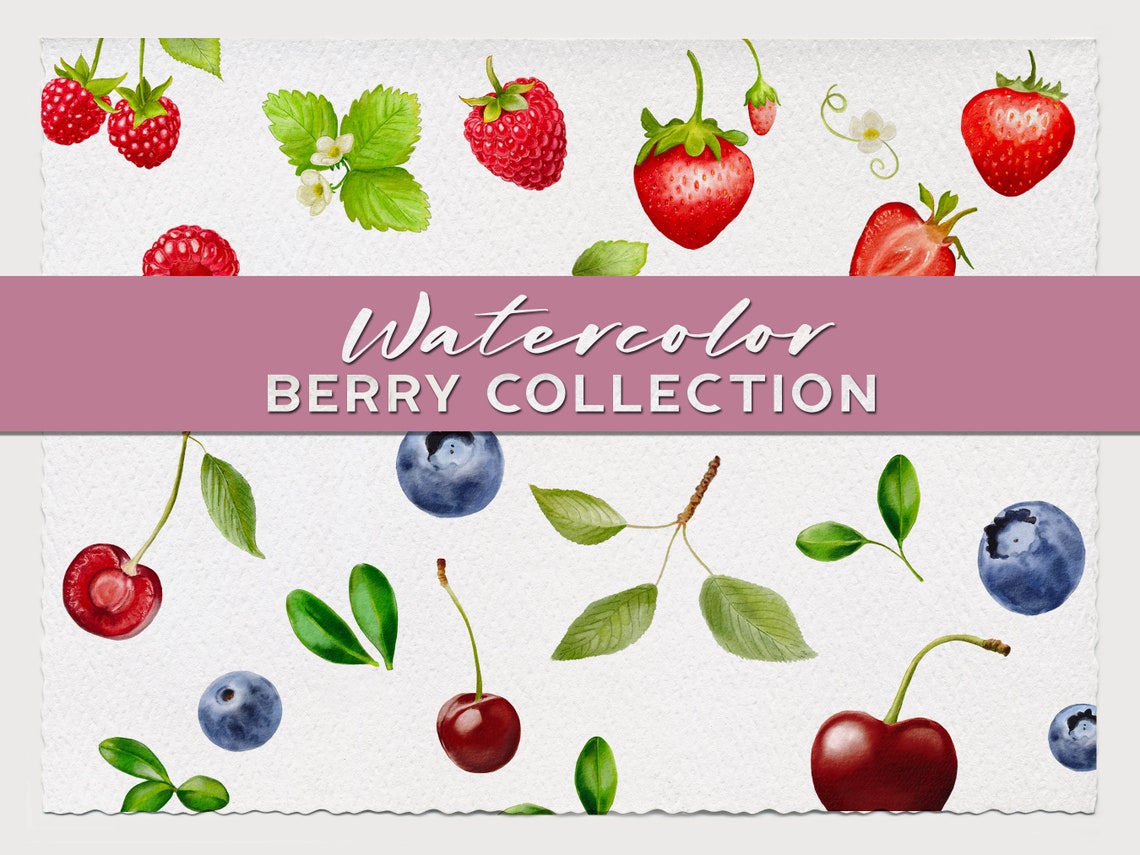 Watercolor Clipart Fruit Watercolor Clipart Strawberry | Etsy