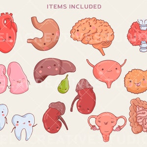 May include: A set of 14 cartoon illustrations of human organs, each with a smiling face. The organs include the heart, stomach, brain, lungs, liver, bladder, pancreas, kidneys, teeth, uterus, and intestines.